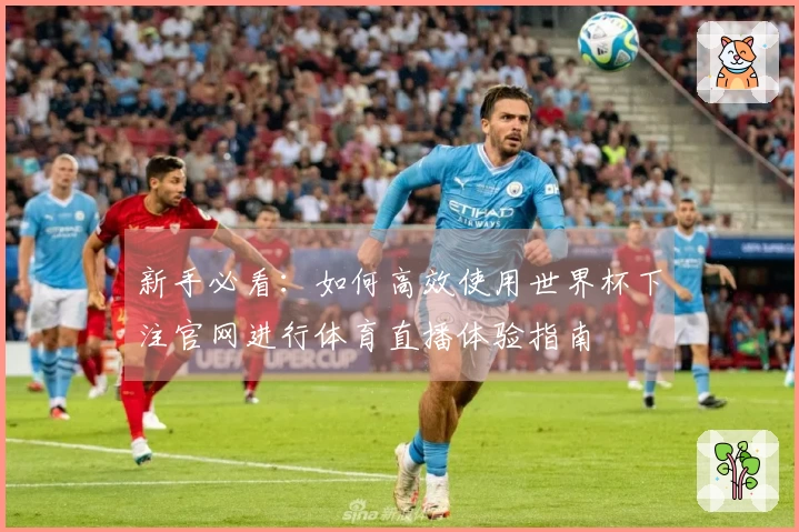 新手必看：如何高效使用世界杯下注官网进行体育直播体验指南