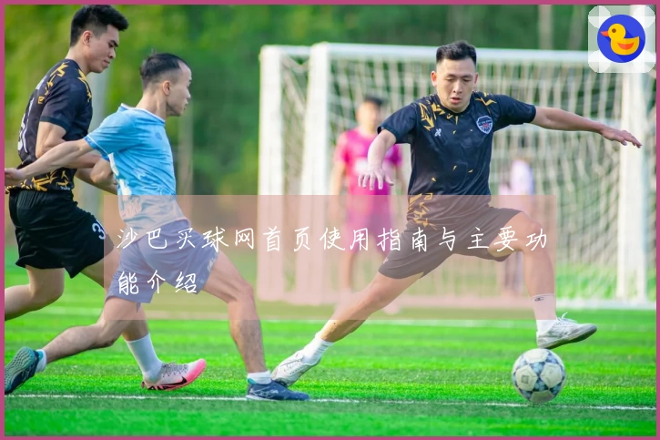 沙巴买球网首页使用指南与主要功能介绍