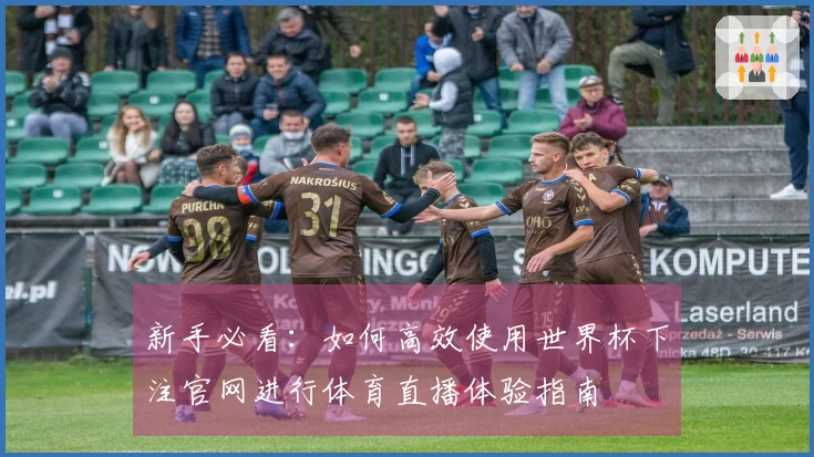 新手必看：如何高效使用世界杯下注官网进行体育直播体验指南